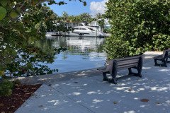 IMG_1616