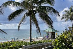 IMG_1651