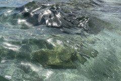 IMG_1680