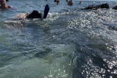 IMG_1687