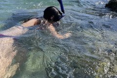 IMG_1690