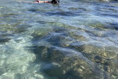 IMG_1700