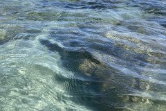 IMG_1702