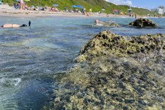 IMG_1704