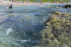 IMG_1706