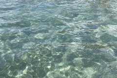 IMG_1708
