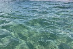 IMG_1710