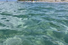 IMG_1711