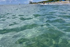 IMG_1712