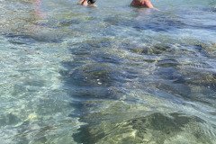 IMG_1713
