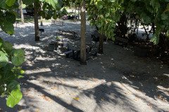 IMG_1721