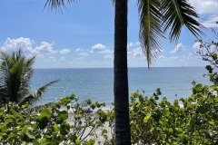 IMG_1723