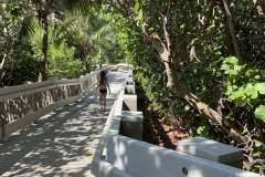 IMG_1726