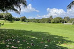 IMG_1746