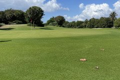 IMG_1748