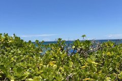 photo_2024-06-09_20-46-14-2