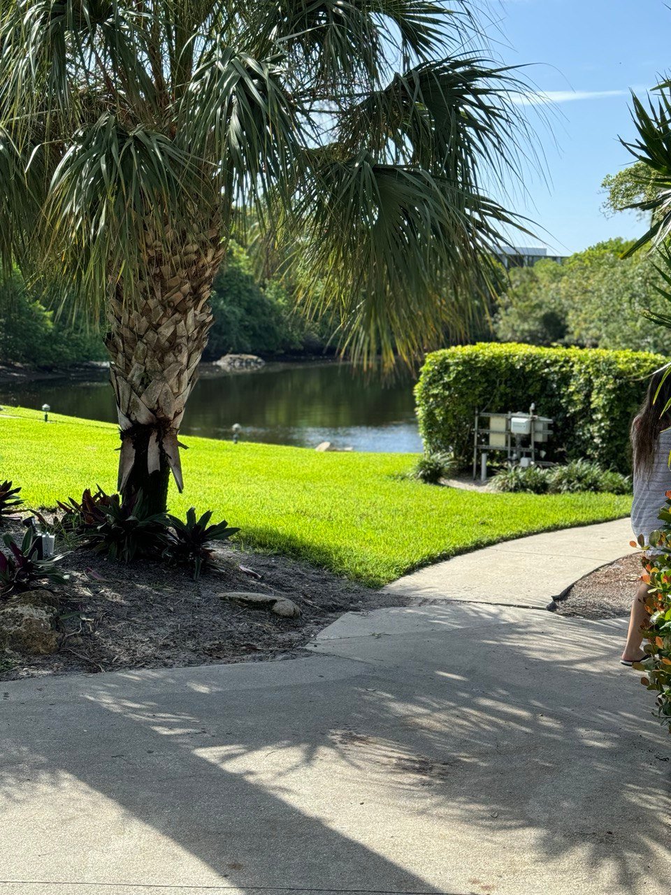 Bridge Boca Raton Discover the Serene Beauty of Kissamino Bridge and Park in Boca Raton ...