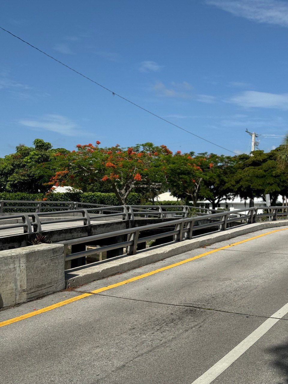 Bridge Boca Raton Discover the Serene Beauty of Kissamino Bridge and Park in Boca Raton ...
