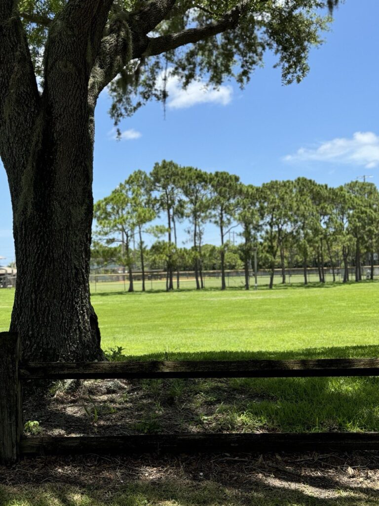Burt Aaronson South County Regional Park