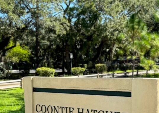 coontie hatchee park-0