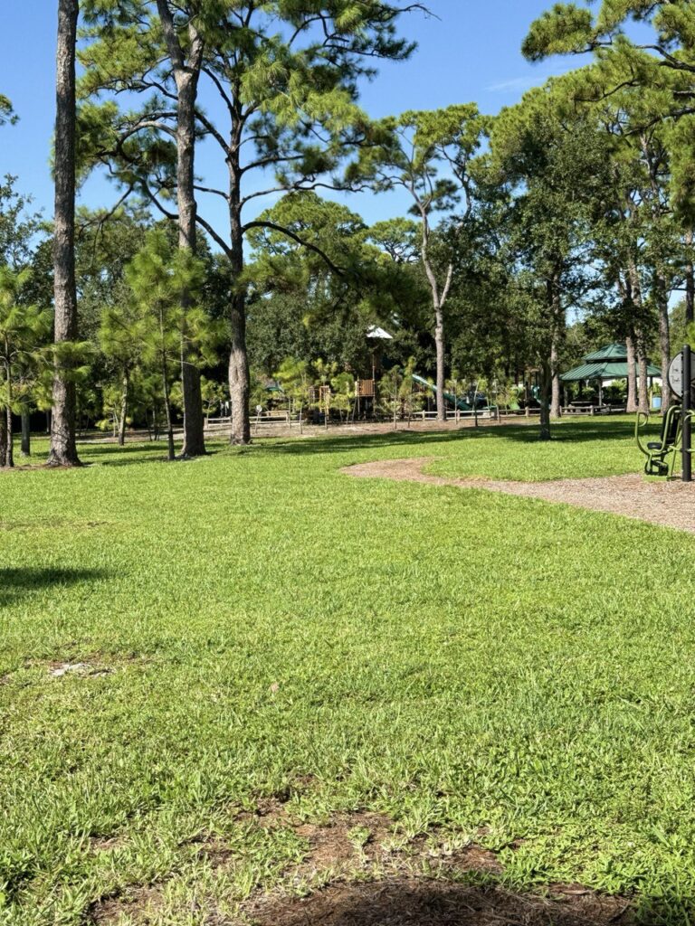 Fort Lauderdale, Coontie Hatchee Park